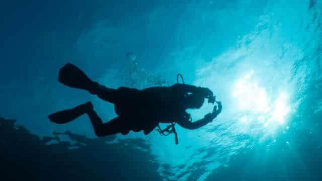 raid dive training