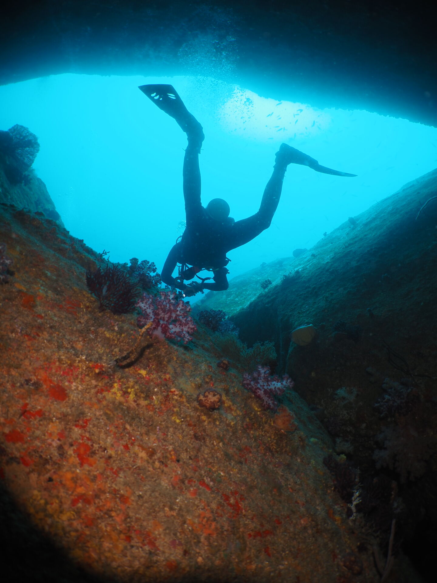 elephant head rock Similan Islands