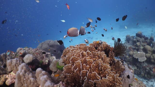 Hideaway Bay Similan Islands