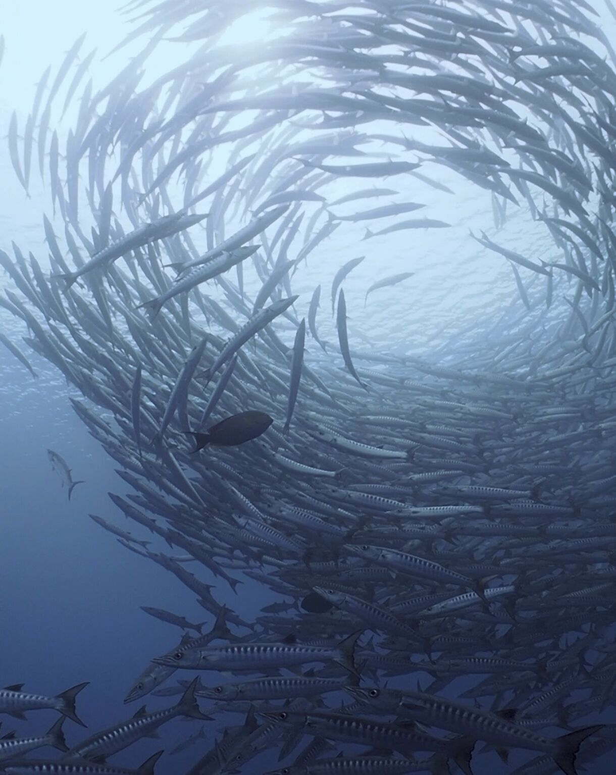 Screenshot 2025 12 05 09 09 48 757 Com.miui.mediaviewer Edit