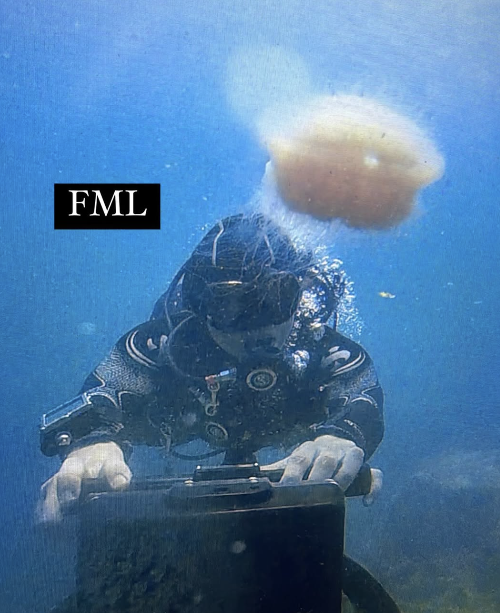 jellyfish in face
