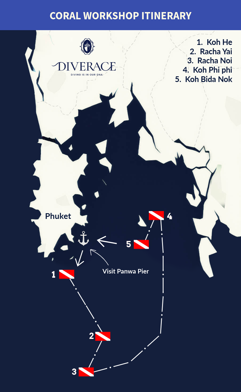 Coral Workshop Itinerary
