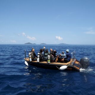 Workboats Guests 1