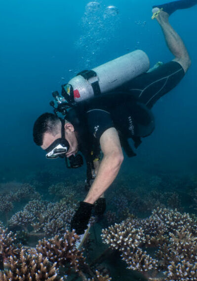 Coralproject43