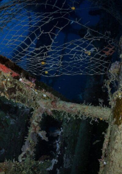 acasta-wreck-picture-1