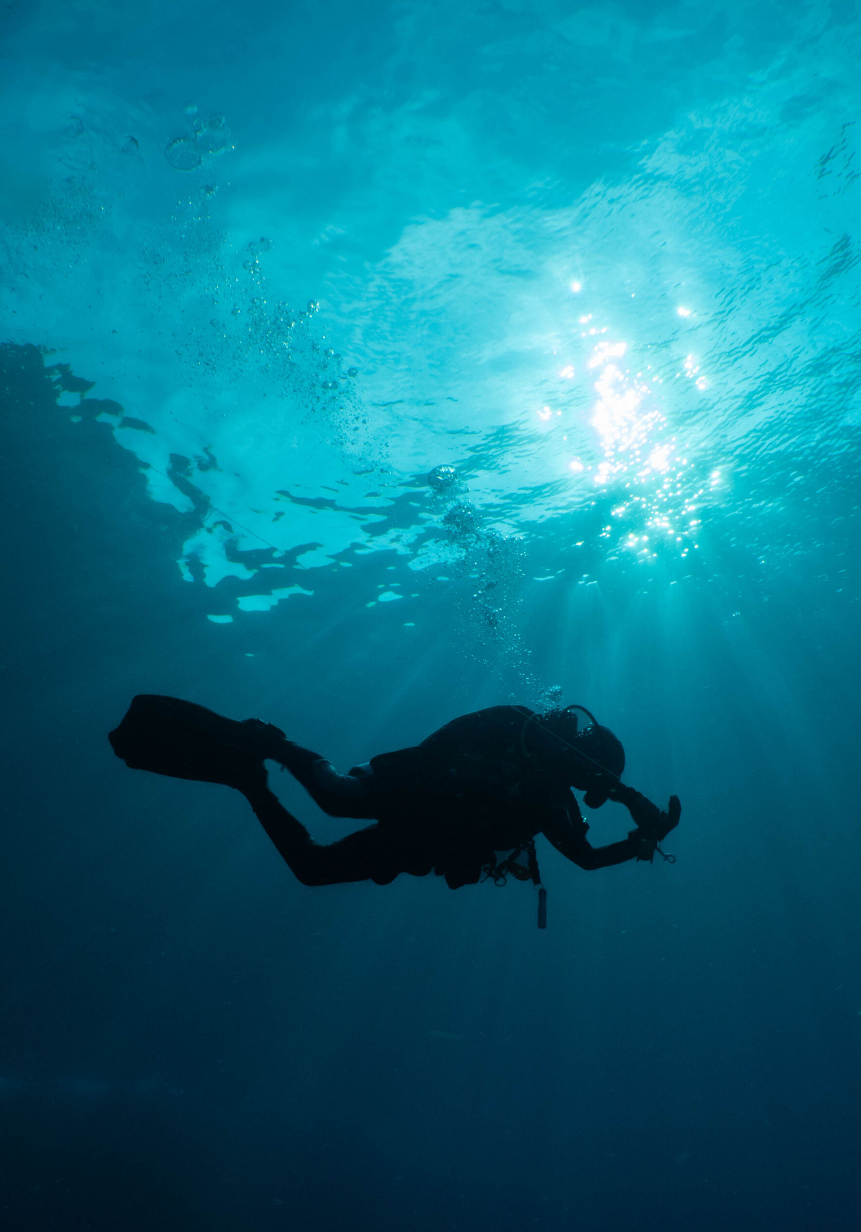 Help Us Rebuild Phukets Reefs 02