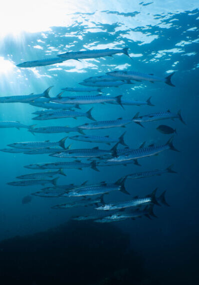 Hero Destination Hin Dang